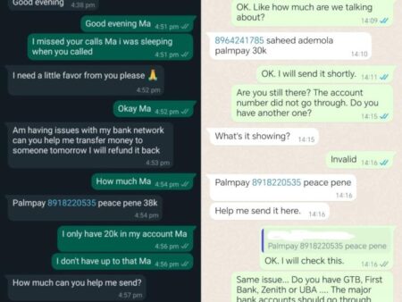 WhatsApp Account Hack - Scammers are using PalmPay to defraud Nigerians