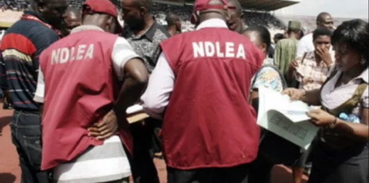 NDLEA