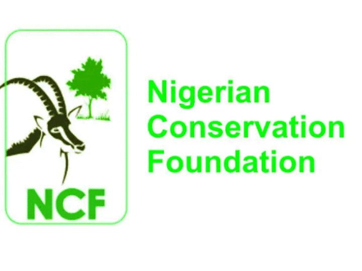 NCF undertakes reforestation drive with 184,000 trees to rebuild degraded forest lands 1 NCF
