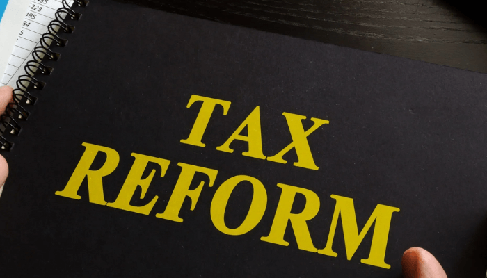 Parthian Capital MD says new tax reforms will stimulate growth of SMEs in Nigeria 1 Tax reform