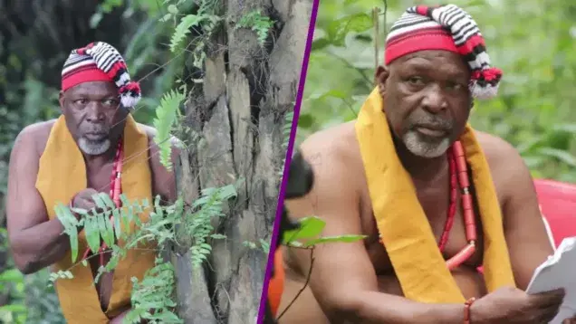 Tom Njemanze