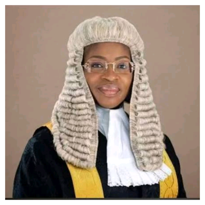 Oyinkansola Badejo-Okusanya Elected 33rd NBA President 1 SAN, Oyinkansola Badejo-Okusanya